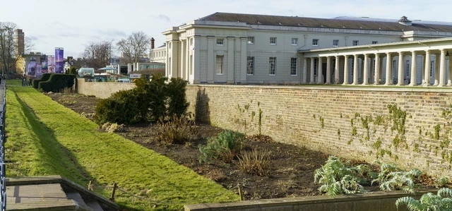 The Herbaceous border